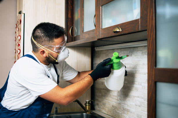 Flea Control Services in Westlake Corner, VA