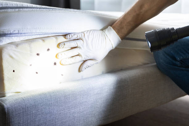 Best Pest Removal Services  in Westlake Corner, VA