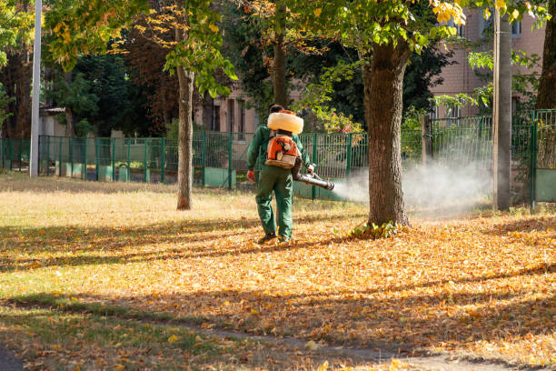 Reliable Westlake Corner, VA Pest Control Solutions